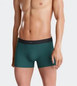 Eden Park - Lot de 2 Boxers Homme Ceinture Confort - Noir et Vert Imprimé Chic -Lingerie Sipp boxer ceinture confort lot de 4 gn090 noir vert gn090 noir vert 2