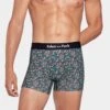 Eden Park Boxer Homme Motif Floral Pelouse Marine – Coton Stretch Sport Chic 1 Eden Park Boxer Homme Motif Floral Pelouse Marine – Coton Stretch Sport Chic -Lingerie Sipp boxer h fleuri gn033 pelouse marine