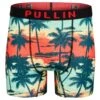 PULLIN Fashion 2 Bayarbor – Boxer Long Homme en Lycra Imprimé Paysage