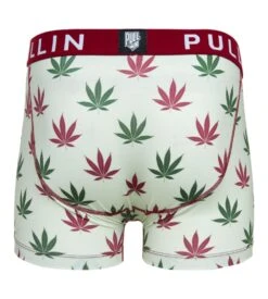 PULLIN Boxer Homme Master Kanab – Imprimé Feuilles de Cannabis Vertes et Noires – Sous-Vêtement Premium -Lingerie Sipp boxer homme imprime kanab 1