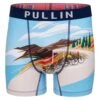 PULLIN Boxer Homme Fashion 2 Peloton – Imprimé Cyclisme Multicolore Coupe Longue en Lycra -Lingerie Sipp boxer homme imprime peloton