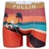 PULLIN Boxer Homme Fashion 2 Skyfall – Imprimé Panorama Montagne et Skieur en Lycra Stretch -Lingerie Sipp boxer homme imprime skyfall