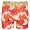 PULLIN Boxer Homme Imprimé Fashion 2 Malaka 2 PULLIN Boxer Homme Imprimé Fashion 2 Malaka -Lingerie Sipp boxer homme malaka imprime multicolore