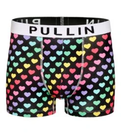 PULLIN Boxer Homme Imprimé Master AIME
