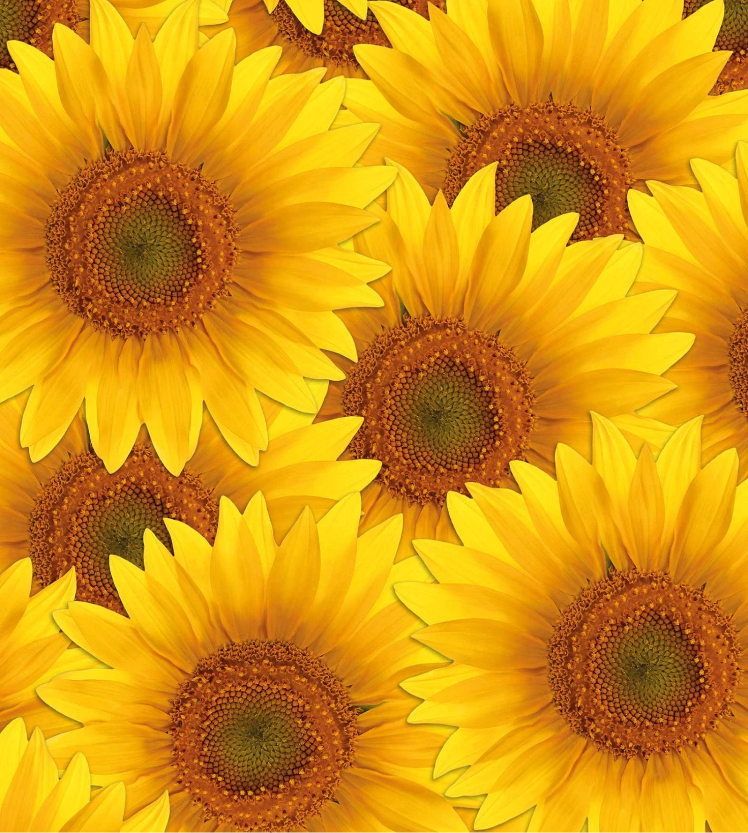 PULLIN Boxer Homme Fashion 2 Maxsun – Caleçon Long Imprimé en Lycra Premium 4 PULLIN Boxer Homme Fashion 2 Maxsun – Caleçon Long Imprimé en Lycra Premium – Image 2