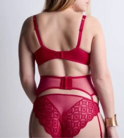 Aubade Galbe Taille Rouge En Tulle Brodé Sense Of Illusion 15 Aubade Galbe Taille Rouge En Tulle Brodé Sense Of Illusion -Lingerie Sipp galbe taille sens of illusion red berry 3