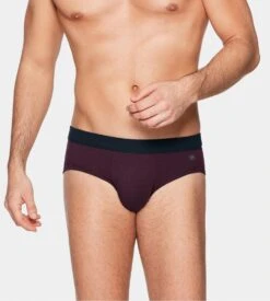 Slip Impetus Coton Stretch Bordeaux – Sous-vêtement Confort avec Ceinture Maille