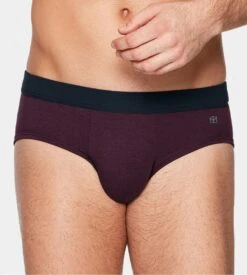 Slip Impetus Coton Stretch Bordeaux – Sous-vêtement Confort avec Ceinture Maille -Lingerie Sipp impetus slip ceinture confort bd003 bordeaux 3