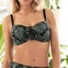 Soutien Gorge Coques Light Jungle Du Soir Vert Minuit 1 Soutien Gorge Coques Light Jungle Du Soir Vert Minuit -Lingerie Sipp jungle du soir sga coque light vert minuit