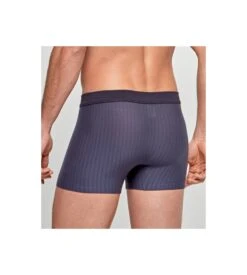 Lot de 2 Boxers Homme Impetus Coton Stretch Marine et Gris - 1 Uni & 1 Rayé -Lingerie Sipp lot de 2 boxers homme en coton marine gris e45 2