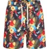 PULLIN Short De Plage Imprimé Pako Colorfull 1 PULLIN Short De Plage Imprimé Pako Colorfull -Lingerie Sipp short de plage h colorfull