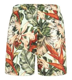 PULLIN Short De Plage Pako Botanik 11 PULLIN Short De Plage Pako Botanik -Lingerie Sipp short de plage pako botanik botanik 3