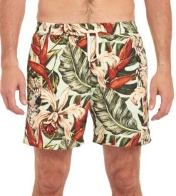 PULLIN Short De Plage Pako Botanik 13 PULLIN Short De Plage Pako Botanik -Lingerie Sipp short de plage pako botanik botanik 5