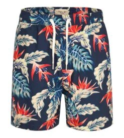 PULLIN Short De Plage Pako Night Jungle