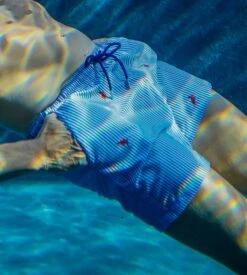 Short De Plage Homme Rayé Roxo Blue/White Stripes 13 Short De Plage Homme Rayé Roxo Blue/White Stripes -Lingerie Sipp short de plage roxo pour homme r0bw blue white stripes 2