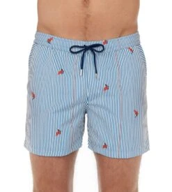 Short De Plage Homme Rayé Roxo Blue/White Stripes 14 Short De Plage Homme Rayé Roxo Blue/White Stripes -Lingerie Sipp short de plage roxo pour homme r0bw blue white stripes 3