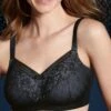 ANITA Soutien-gorge Pour Prothèses Rosemary Noir 1 ANITA Soutien-gorge Pour Prothèses Rosemary Noir -Lingerie Sipp soutien gorge pour protheses 001 noir