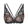 Aubade Soutien-gorge Push-up Plunge La Reine De La Nuit Noir Lyrique 1 Aubade Soutien-gorge Push-up Plunge La Reine De La Nuit Noir Lyrique -Lingerie Sipp soutien gorge push up plunge noir lyrique