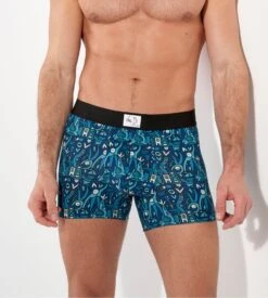 Boxer Homme édition Limitée Ft. Artiste Le D. Voyages Motifs Festifs Bleus