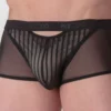 Boxer En Tulle Personnal Allure Noir 1 Boxer En Tulle Personnal Allure Noir -Lingerie Sipp woh personnal allure boxer h 0004 black noir