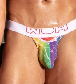 WOH Tanga Homme Sexy Fun Imprimé Multicolore – Coupe HO1 avec Ceinture Large Confort 10 WOH Tanga Homme Sexy Fun Imprimé Multicolore – Coupe HO1 avec Ceinture Large Confort -Lingerie Sipp woh sexy fun tanga micro h ceinture large multicolore 2
